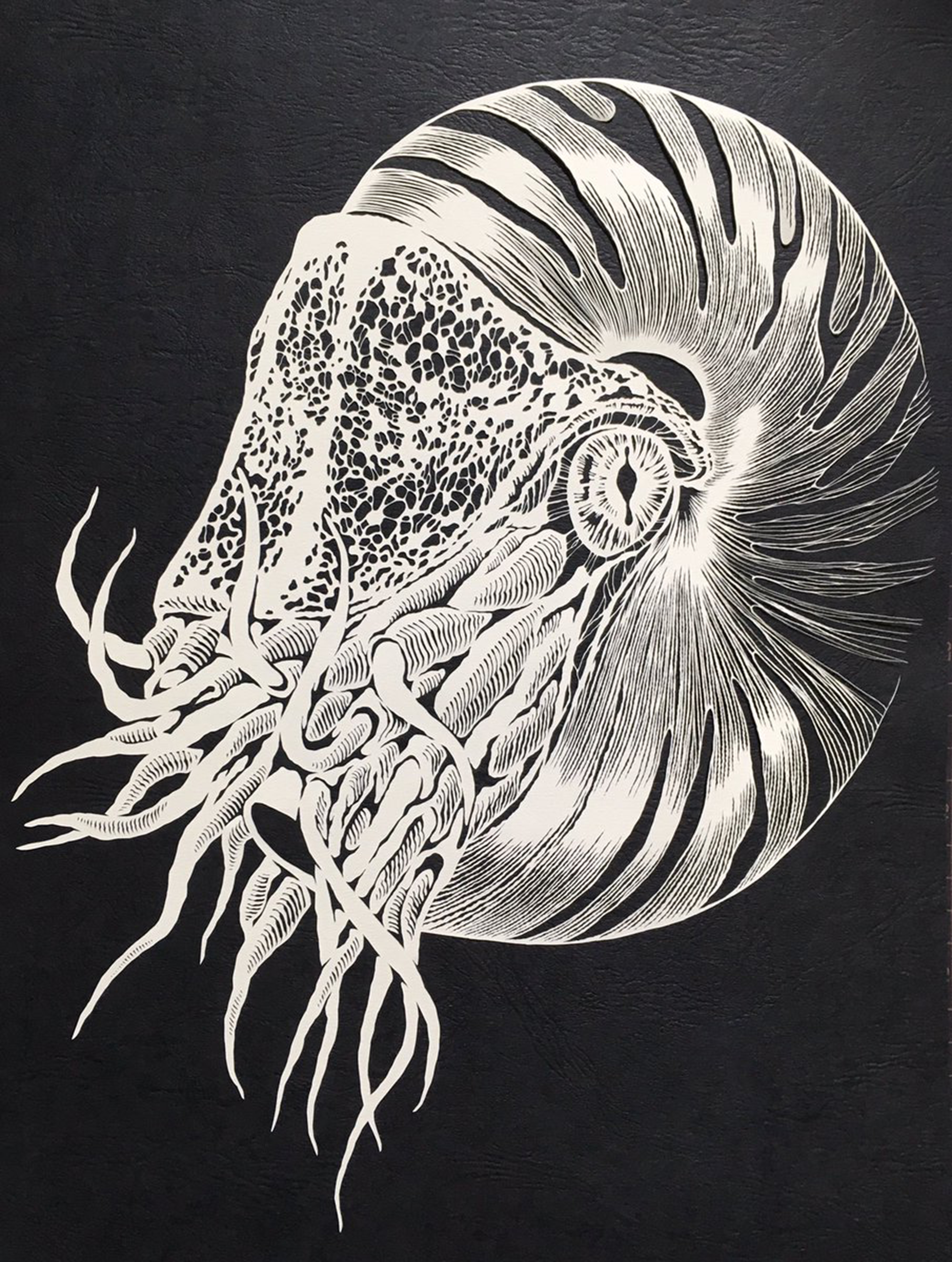 オウムガイをモチーフに立体感あるデザインへ挑戦した切り絵アート作品 Nautilus Kiriken Masayo