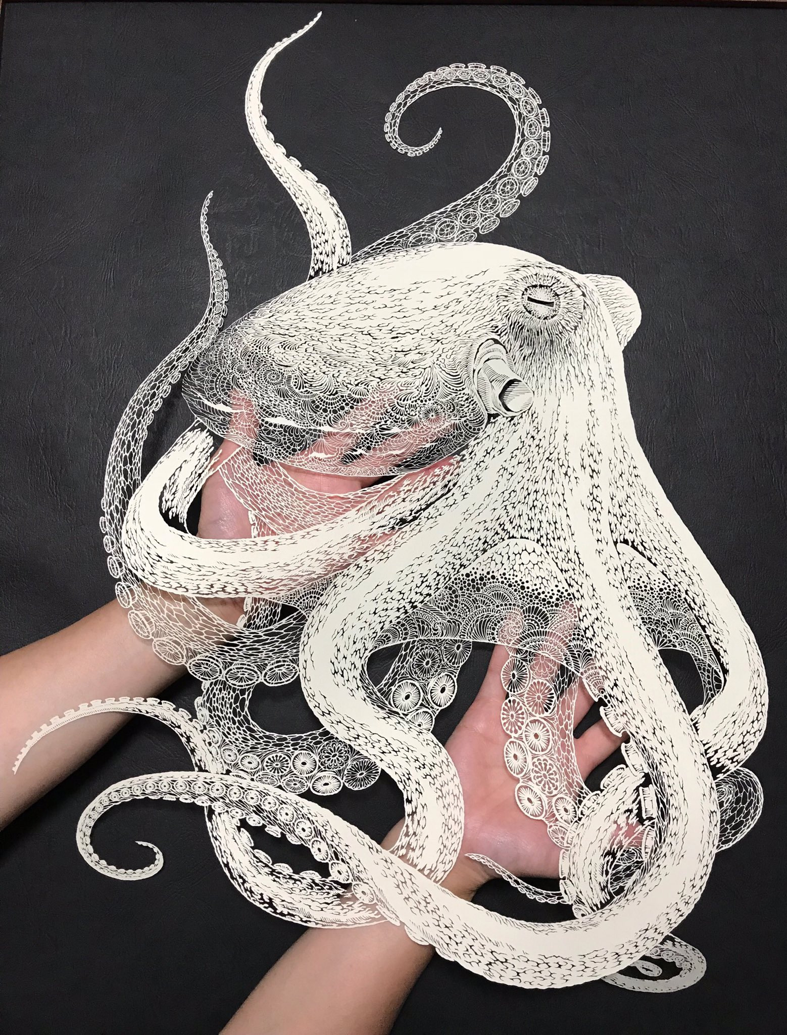 Video of Octopus | Papercut Artist Masayo Fukuda | Kiriken Masayo