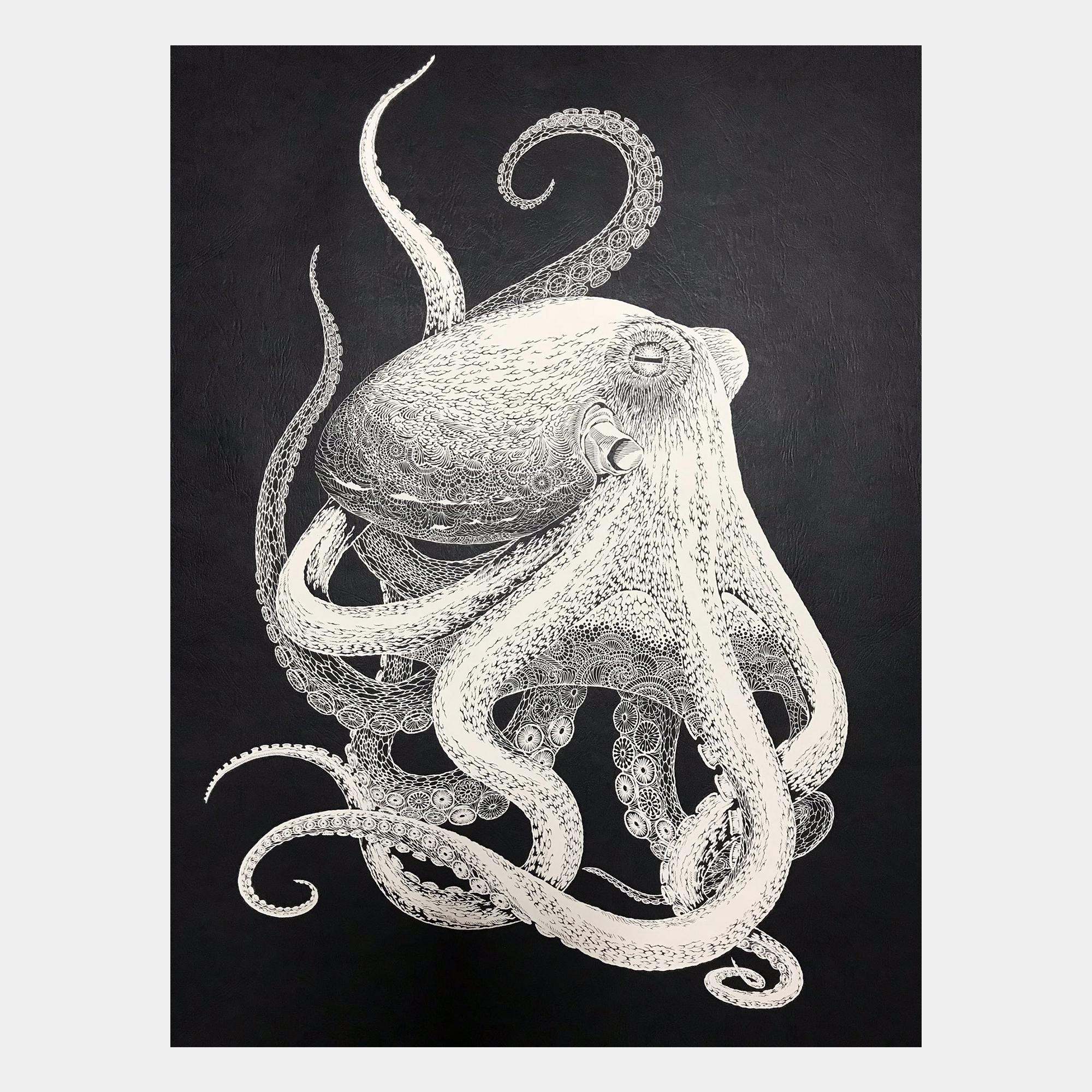 切り絵 海蛸子 Octopus Kiriken Masayo