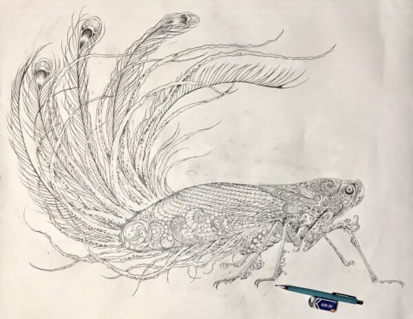 切り絵】孔雀羽衣 | Kiriken Masayo